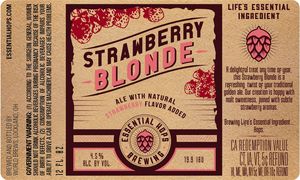 World Brews Strawberry January 2017