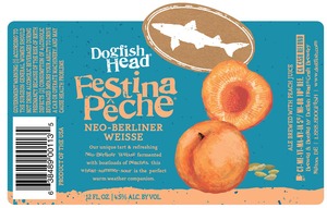 Dogfish Head Festina Peche