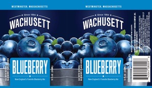 Wachusett Blueberry January 2017