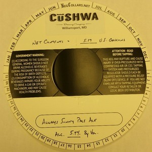 Always Sunny Pale Ale 