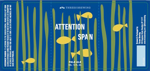 Attention Span Pale Ale January 2017
