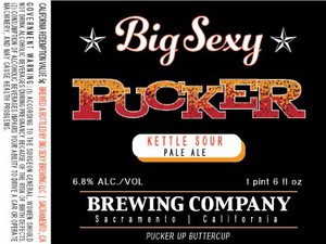 Big Sexy Brewing Company Pucker