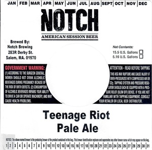 Teenage Riot Pale Ale February 2017