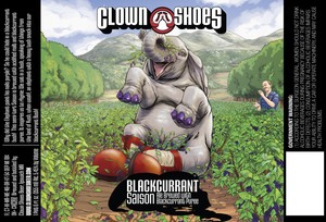 Clown Shoes Blackcurrant February 2017