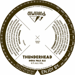 Pyramid Thunderhead India Pale Ale February 2017