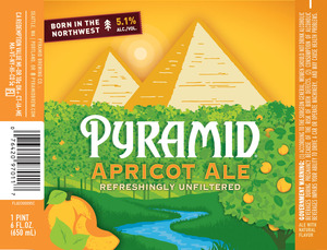 Pyramid Apricot Ale March 2017