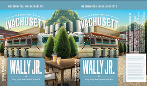 Wachusett Wally Jr. February 2017