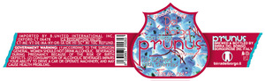 Birra Del Borgo Prunus