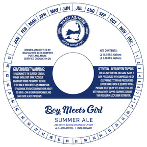 Washashore Beer Boy Meets Girl Summer Ale