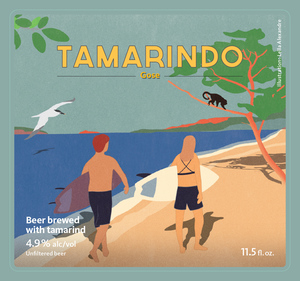 Dieu Du Ciel! Tamarindo March 2017