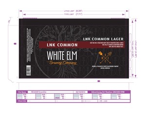 Lnk Common Lager Lnk Common