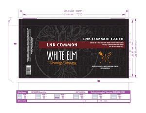 Lnk Common Lager Lnk Common March 2017