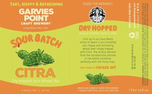 Sour Batch Sour Wheat Ale March 2017