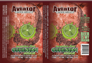 Aviator Brewing Company Cucumber-lime Cukeatan Saison March 2017