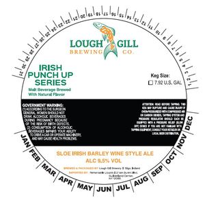 Lough Gill Brewing Co Sloe Irish Barley Wine June 2017