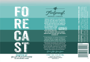 Foolproof Brewing Company Forecast Chapter #2