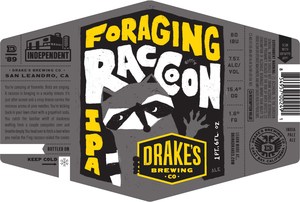 Drake's Foraging Raccoon May 2017