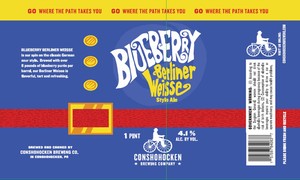 Blueberry Berliner Weisse Ale 