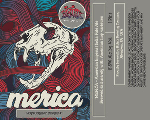 Hijinx Brewing Company 'merica