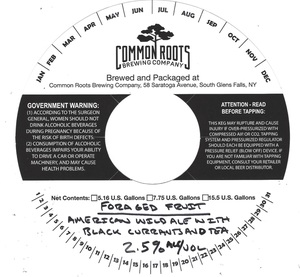 Foraged Fruit American Wild Ale