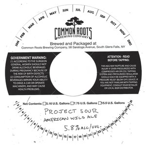Project Sour American Wild Ale