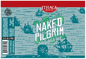 Ithaca Beer Co. Naked Pilgrim June 2017