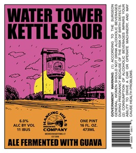 Hanging Hills Brewing Company Water Tower Kettle Sour