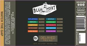 Blue Point Brewing Company Delayed Pale Ale