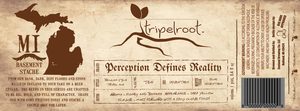 Tripelroot Perception Defines Reality July 2017