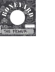 The Femur 