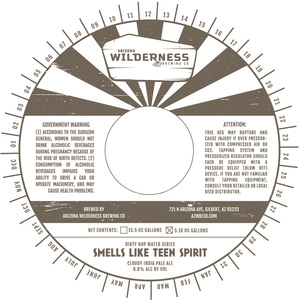 Arizona Wilderness Brewing Co Smells Like Teen Spirit