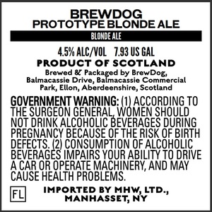 Brewdog Prototype