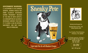 Sneaky Pete September 2017