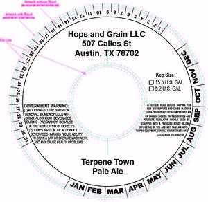 Terpene Town Pale Ale August 2017