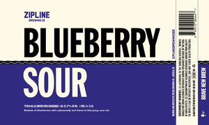 Zipline Brewing Co. Blueberry Sour August 2017