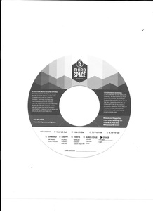 Third Space Brewing Fest Bier