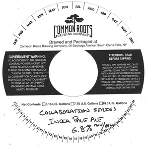 Collaboration Series India Pale Ale