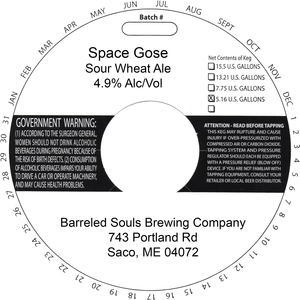 Barreled Souls Brewing Company Space Gose
