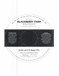 Blackberry Farm Draft Lab #5 Belgo IPA November 2017