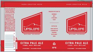 Citra Pale Ale 