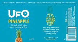 Ufo Pineapple