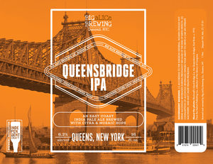 Queensbridge Ipa 