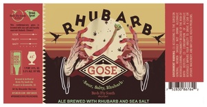 Birds Fly South Ale Project Rhubarb Gose