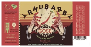 Birds Fly South Ale Project Rhubarb Gose