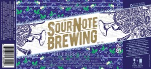 Blueberry Gose December 2017