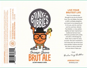 Tiny Bubbles Orange Guava Brut Ale February 2020