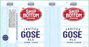 Ship Bottom Brewery Fruited Gose