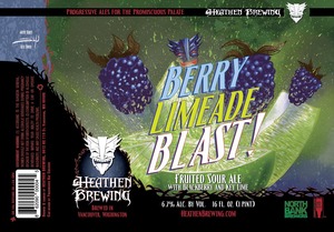 Heathen Brewing Berry Limeade Blast