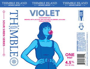 Thimble Island Brewing Company Violet February 2020