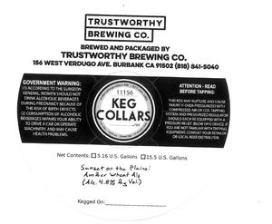 Trustworthy Brewing Co Sunset On The Plains: Amber Wheat Ale